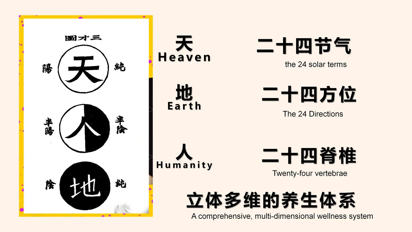 精油成分与使用方法——色彩精油手册